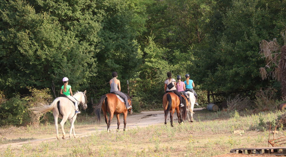 Horseback riding for children and adults
